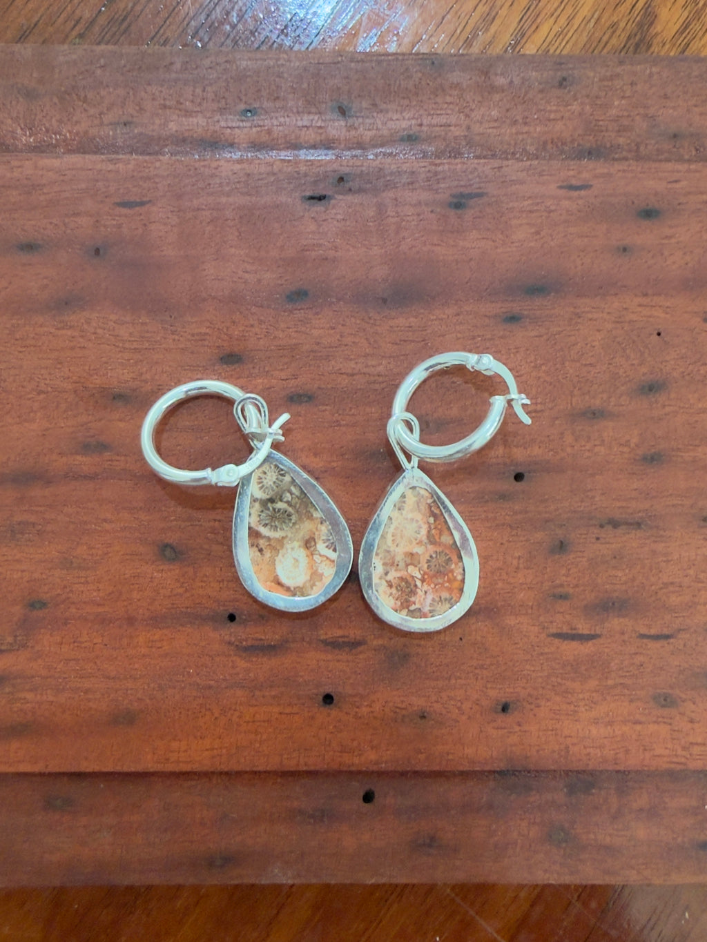 fossilised coral hoops