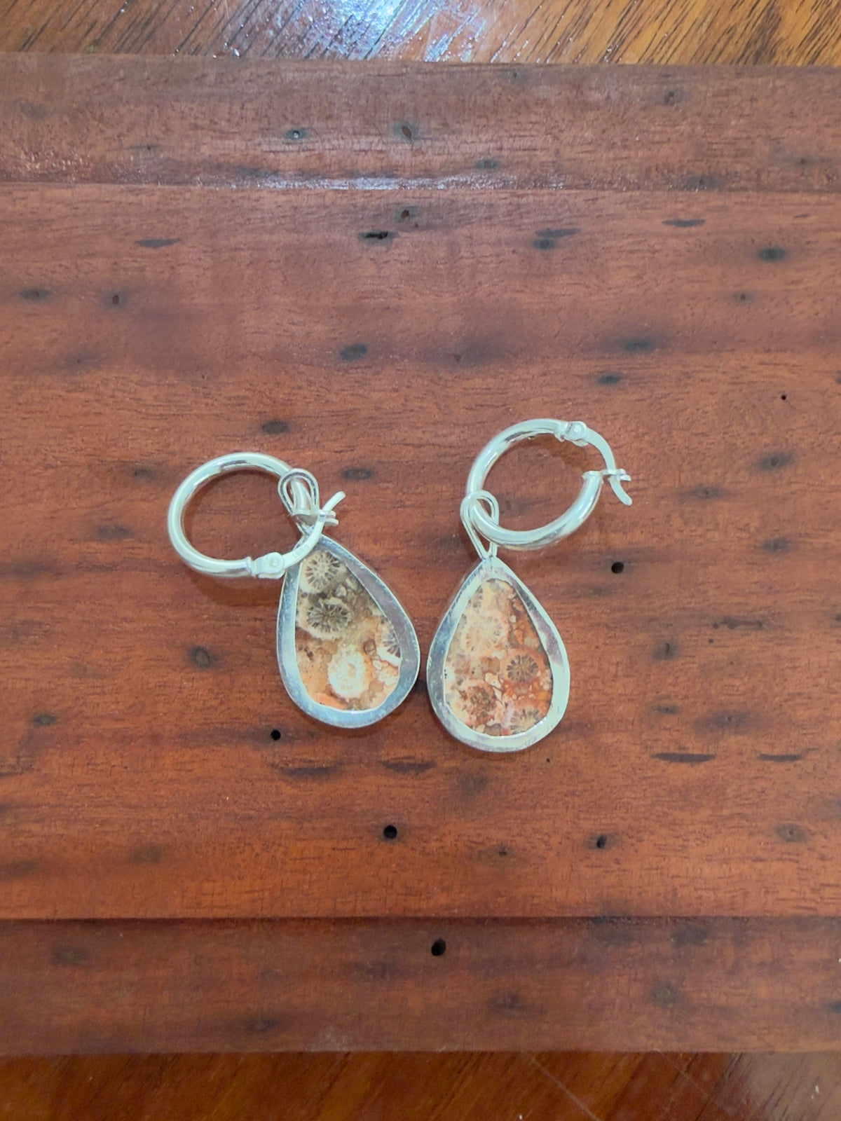 fossilised coral hoops