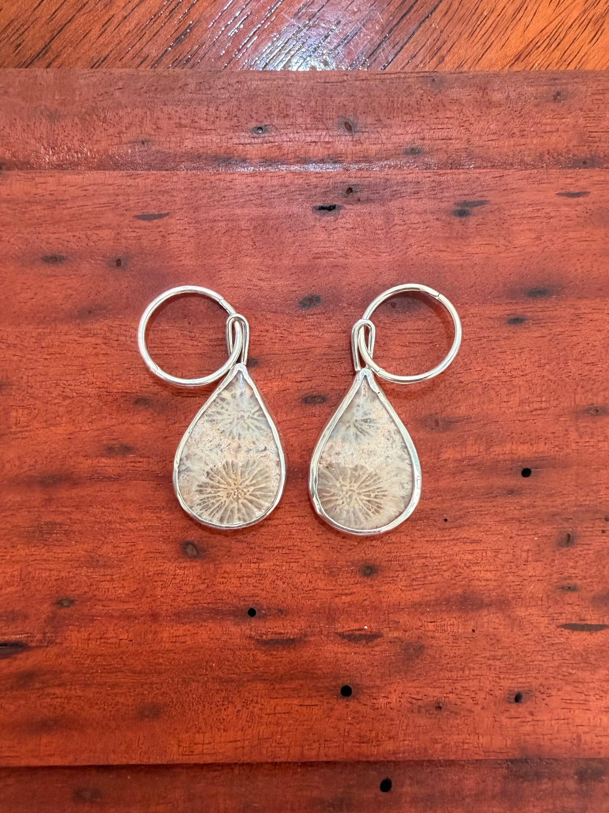 fossilised coral hoops