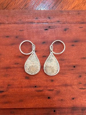 fossilised coral hoops