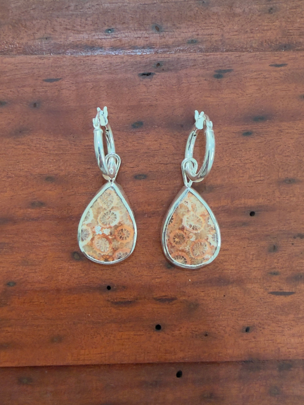 fossilised coral hoops