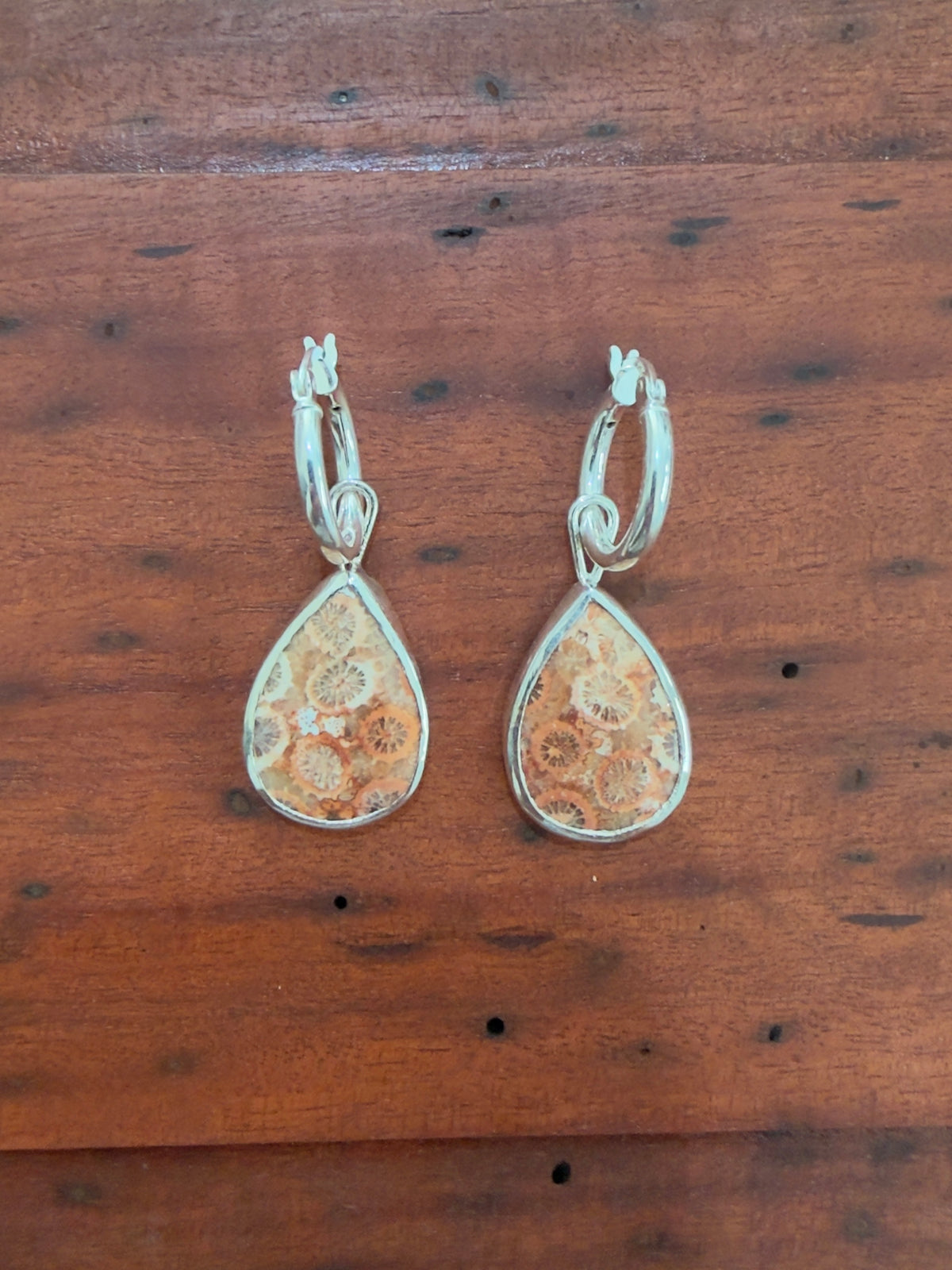 fossilised coral hoops