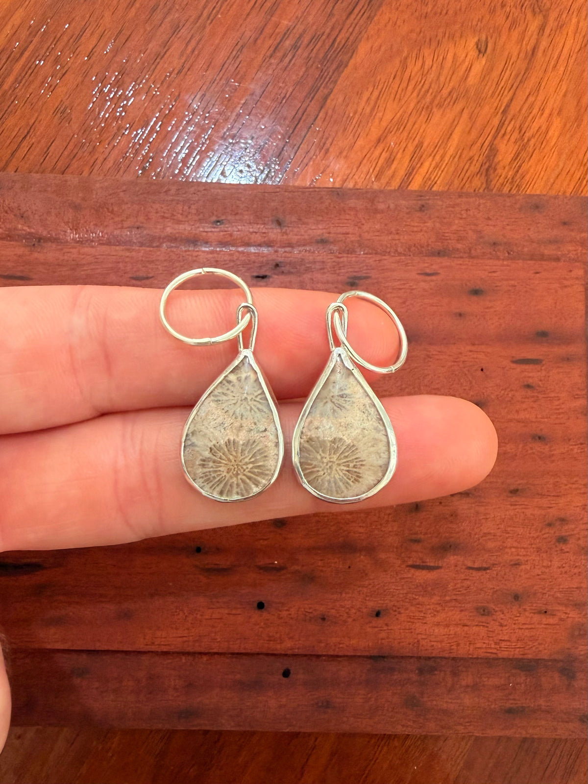 fossilised coral hoops