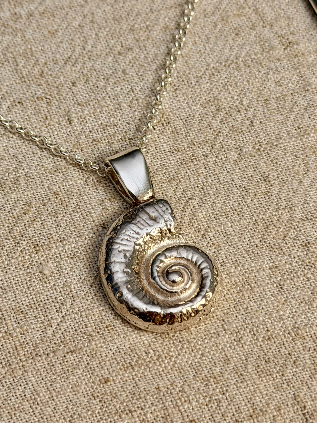 swirl shell necklace