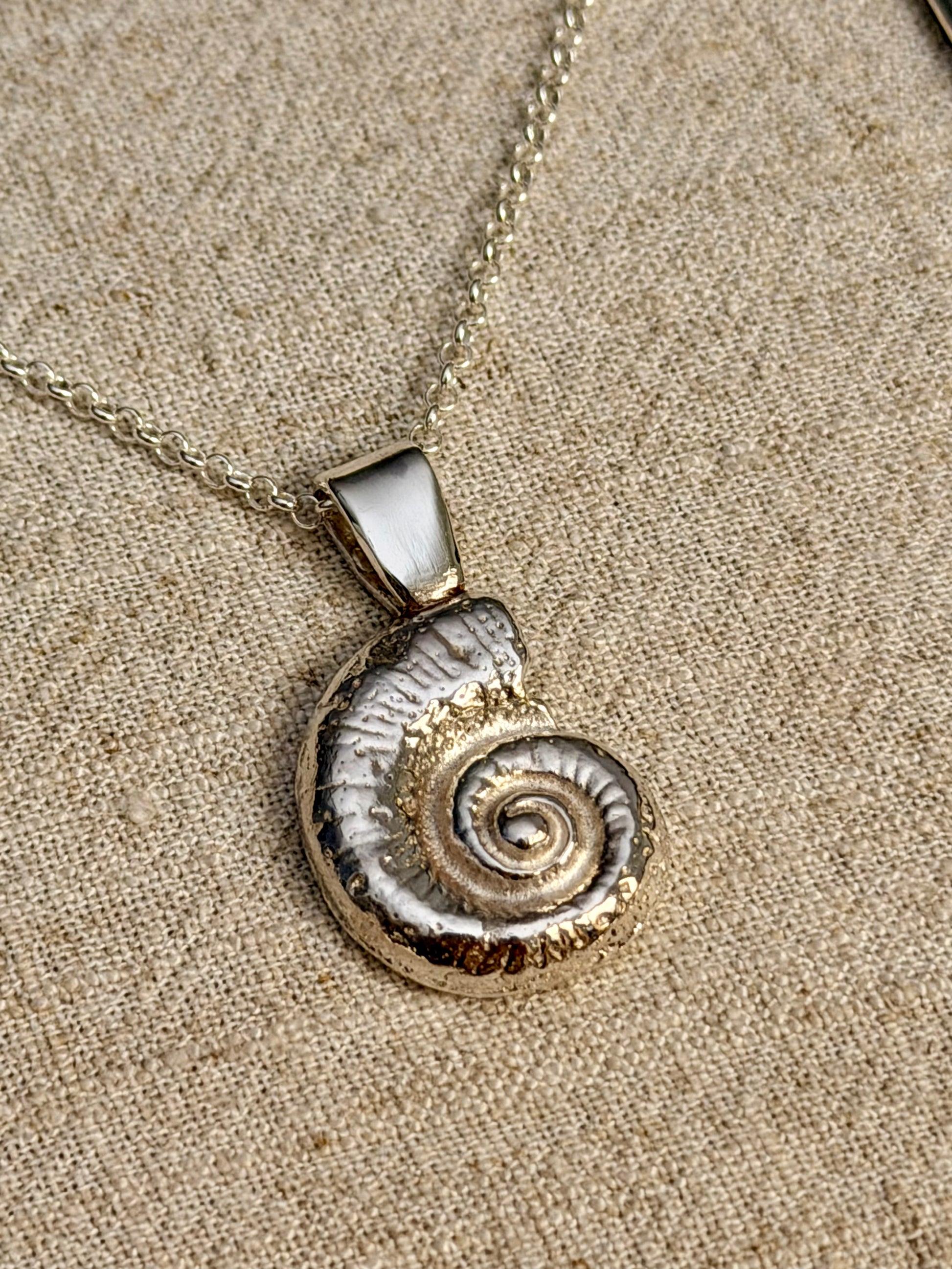swirl shell necklace
