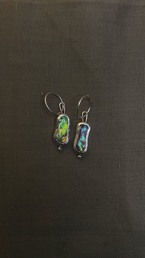 abalone hoops
