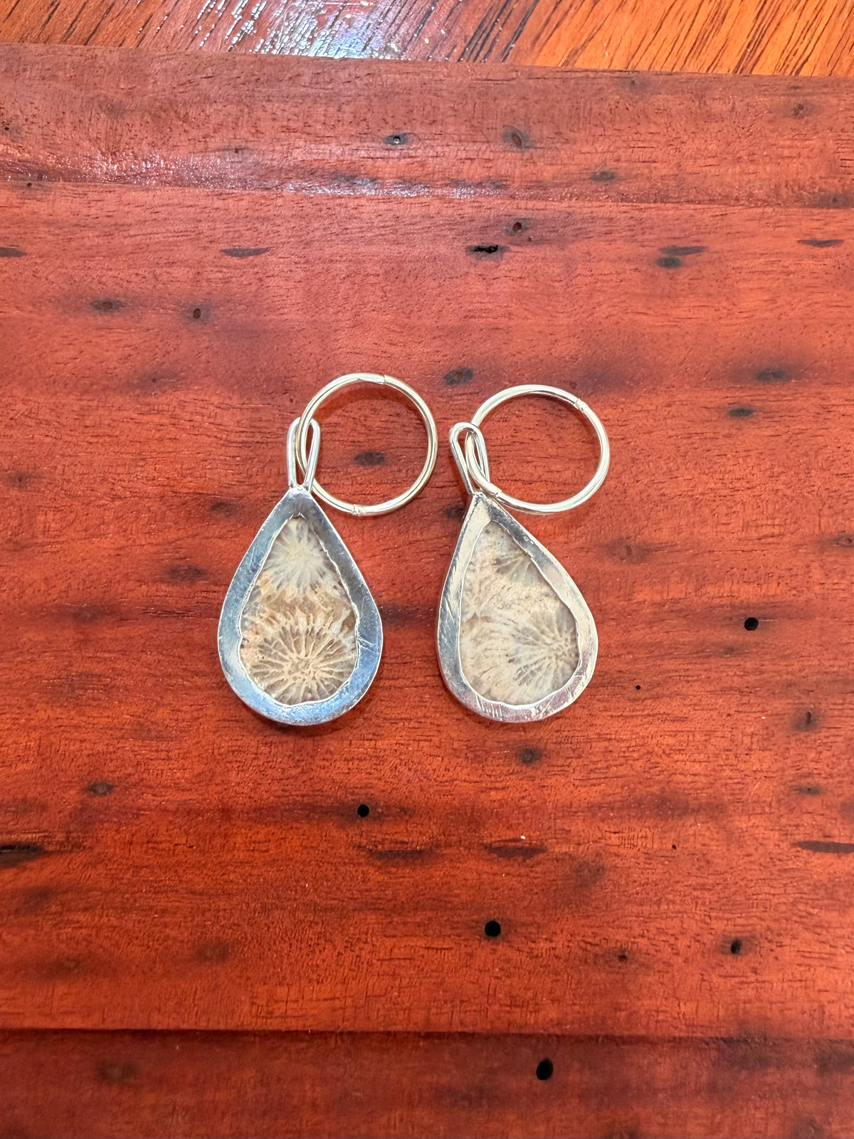 fossilised coral hoops
